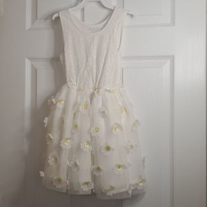 Girls dress with Lace top, Tulle and Daisies